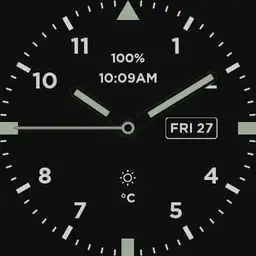 Field_Watch_1.0