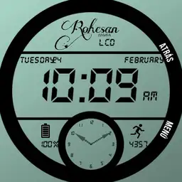LCD - Rohesan Watch