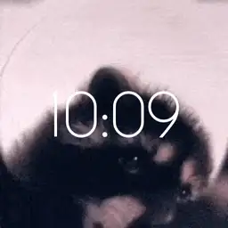Pedro Raccoon