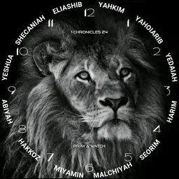 Wall Clock Simple - Lion