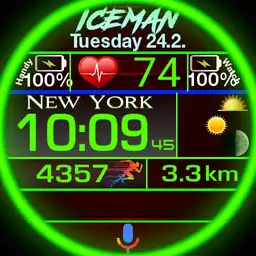 Ice-Watch 2.1