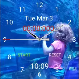 Olivia Aquarium