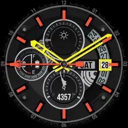 Samsung Galaxy Tomcat v60