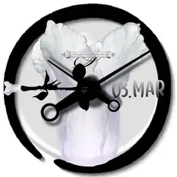 Black White Tulip