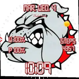 Skiatook Bulldogs