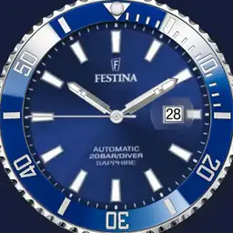 Festina Diver
