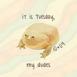 it is wednesday, my dude