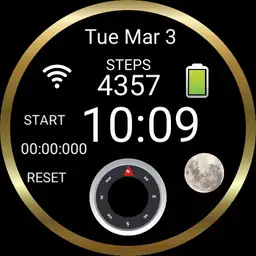 walking watch
