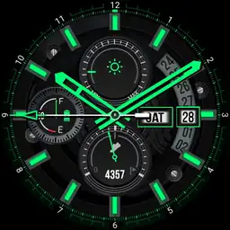 Tomcat by WiscoApps