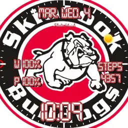 Skiatook Bulldogs