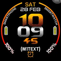 Peppe TicWatch