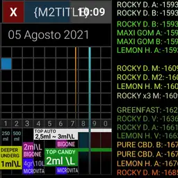 CALENDARIO 2021mini