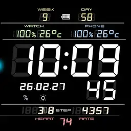 High-performance digital clock