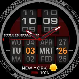 Roller Coaster Copy