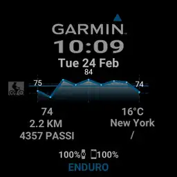 Savy Garmin2 blu digital simple gray, green, red Copy