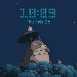 Totoro in the Night
