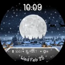 Santa In Flight