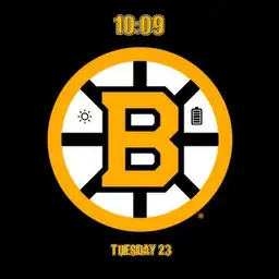 Bruins 100th Anniversary