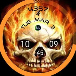 Skull in Fire 050923