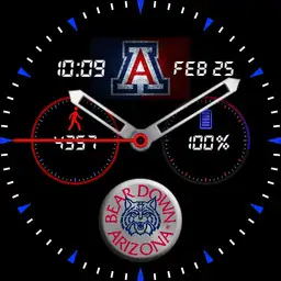 Bear Down Wildcats