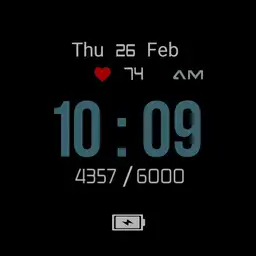 Garmin stile Copy