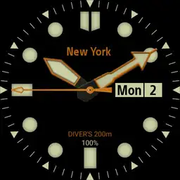 Automatic divers watch with temp.