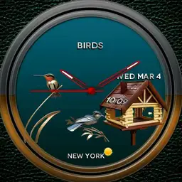 Birds