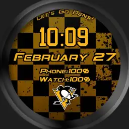 Pittsburgh Penguins