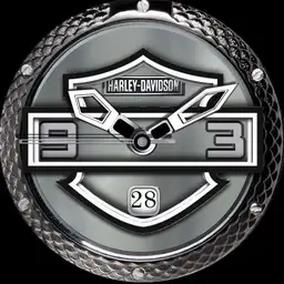 Harley Davidson Limited Edition