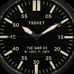 Tsovet SVT-FW44/Date and Battery