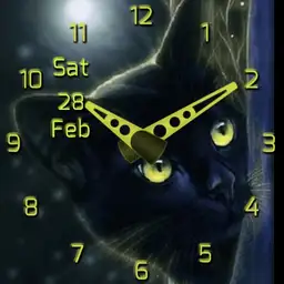 brit Yellow Eyed cat