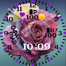 rose