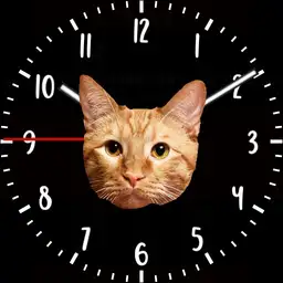 Orange Tabby Multi Screen