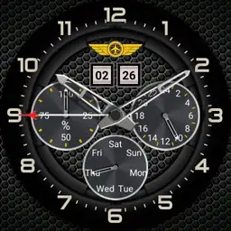 TS Watch