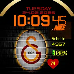 Galatasaray Nike