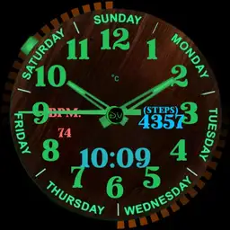 Wood watch Copy