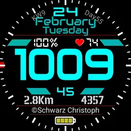 Schwarz65_Final_1.0.4