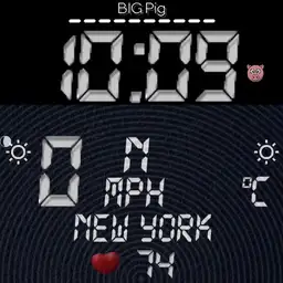 BIG Pig - LCD Big Colours