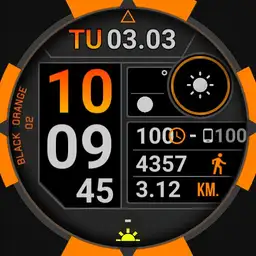 EB GAR-I3G2.9.5+ BLACK ORANGE 2
