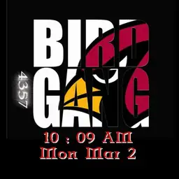Bird Gang