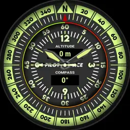 Brute PILOT ACE Compass Military Field Watch