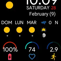 Mi Watch Tiempo v1