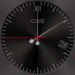 cluse