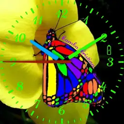 Butterfly Rainbow Lucy 2