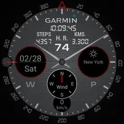 Garmin full info grey/red