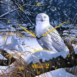Snowy owl