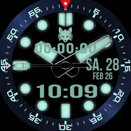 Foxy D1.0.5A