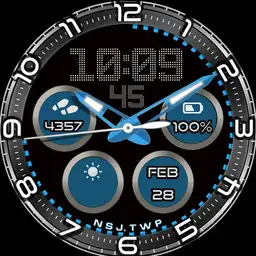 NSJ Ticwatch 4
