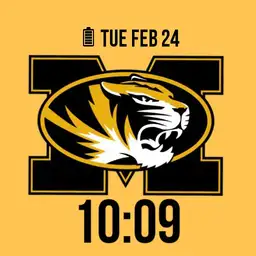 Mizzou Tigers Gold