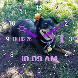 Zoey